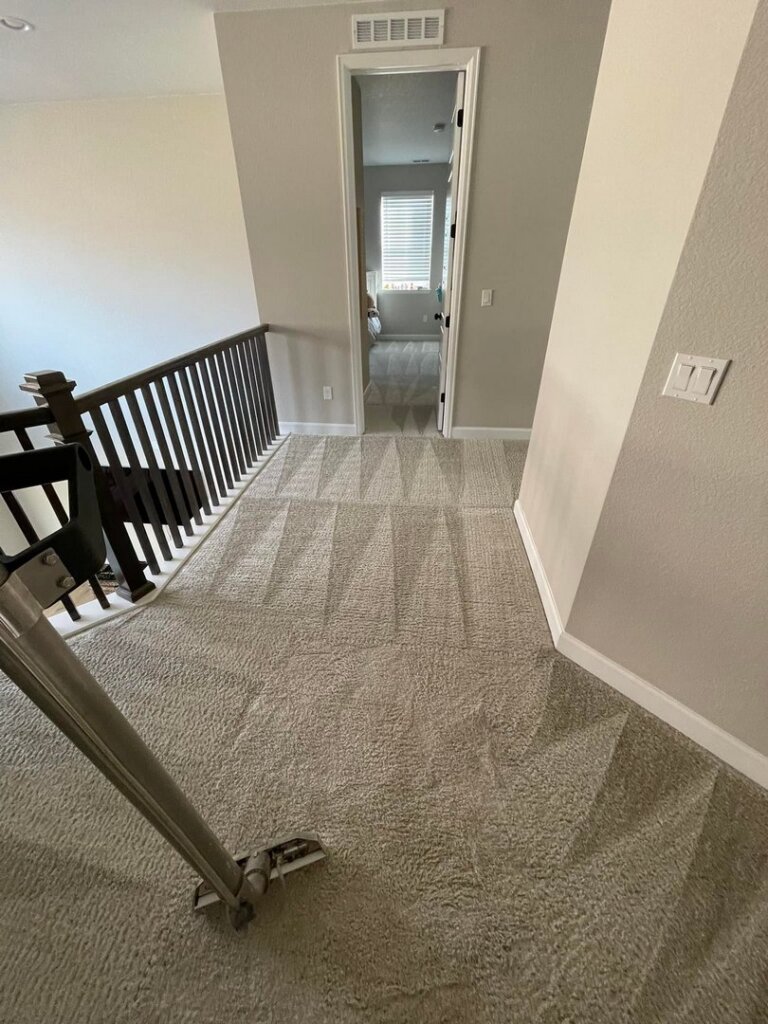 5-star rated carpet cleaning service - serving Aurora, Denver, Longmont, and many more. Request your free quote today!